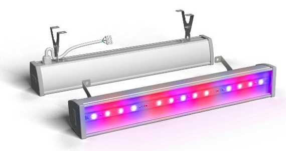 Фитосветильник ECOLED-30W-VL-xx Fito IP65
