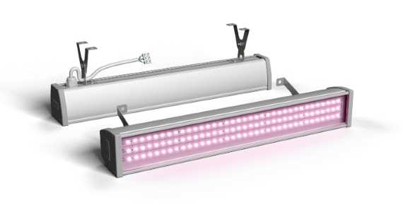 Фитосветильник ECOLED-BIO-30W-xx F-OPTIMA