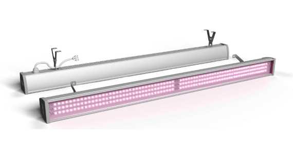 Фитосветильник ECOLED-BIO-60W-xx F-OPTIMA