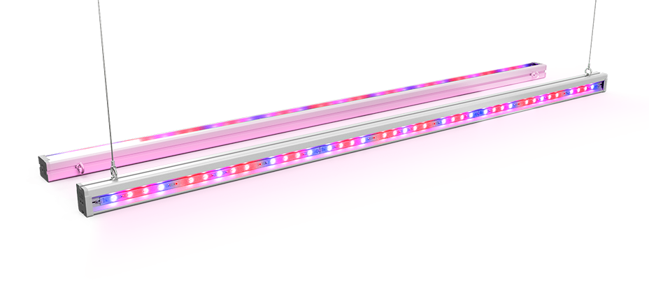 Фитосветильники ECOLED-BIO F-Liner Series
