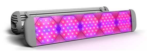 Фитосветильник ECOLED-BIO-140-235W-xx F-UniversaLED