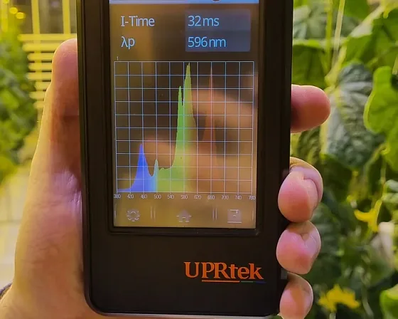 Спектрометр UPRtek в руке на фоне ряда огурца, на экране кривая спектра