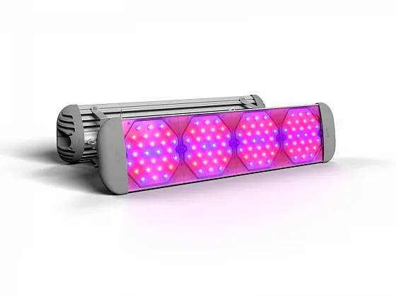 Фитосветильник ECOLED-BIO-56-80W-xx F-UniversaLED, full-spectrum illuminated view