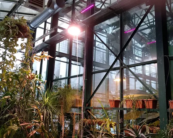 Первые светильники ECOLED-BIO в оранжерее «Аптекарского огорода»
