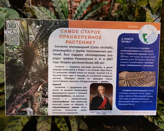 Оранжерея ботанического сада МГУ «Аптекарский огород» с досветкой ECOLED-BIO