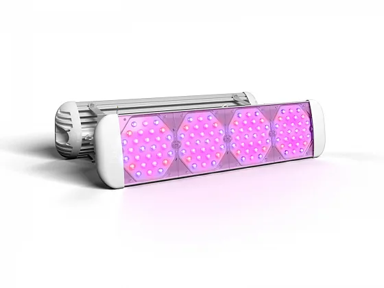 Фитосветильник ECOLED-BIO-56-80W-xx F-UniversaLED, illuminated view