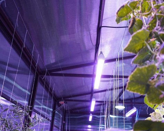 Светодиодная досветка ECOLED-BIO: Межстеллажная досветка светильниками ECOLED-BIO для ИНК-Групп, фото 6
