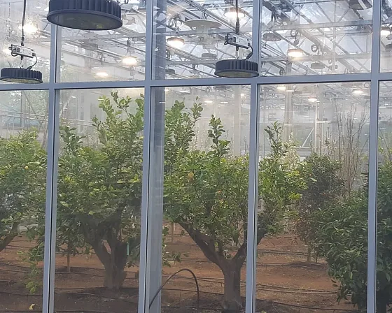 Фитосветильник ECOLED-BIO F-RING на тросовом подвесе с вынесенным блоком питания на кронштейне