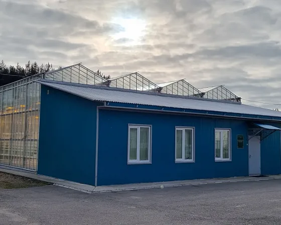 Учебно-опытная теплица колледжа, пристроенная к корпусу, ноябрь